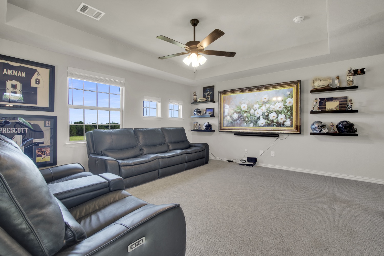 Media room